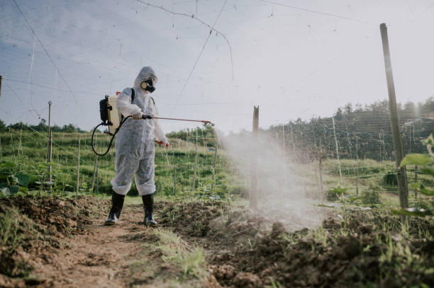 Best Mosquito Control Services  in Walled Lake, MI