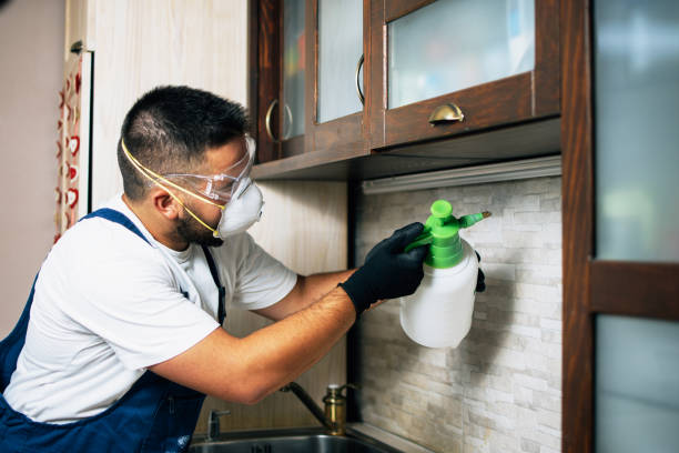 Reliable Walled Lake, MI Pest Control Solutions