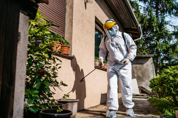 Best Emergency Pest Control  in Walled Lake, MI