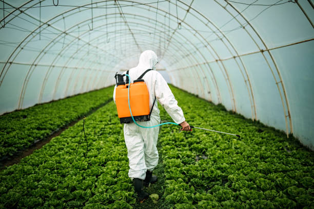 Best Commercial Pest Control Services  in Walled Lake, MI