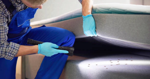 Best Exterminator Services  in Walled Lake, MI