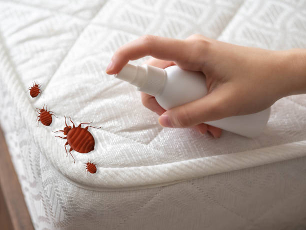 Best Local Pest Control Services  in Walled Lake, MI
